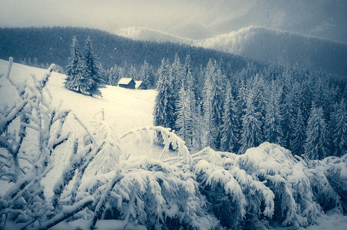 Зиму в Карпатах обіцяють не раніше січня