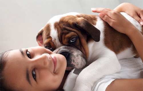 Собаки улучшают здоровье сердца своим владельцам