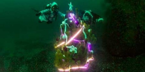 Одесские дайверы установили на дне моря новогоднюю елку