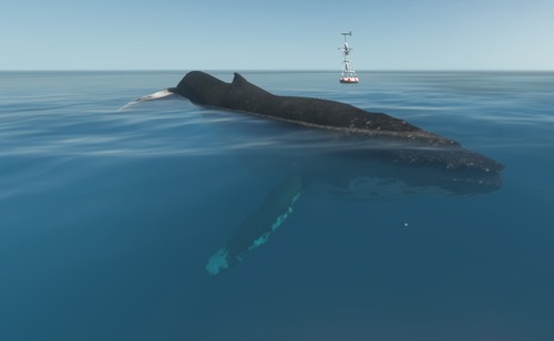 Японское пассажирское судно столкнулось с китом