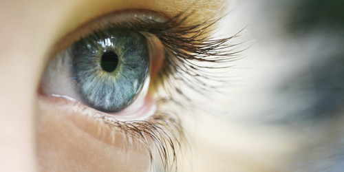 Японские ученые научились восстанавливать зрение при полной слепоте