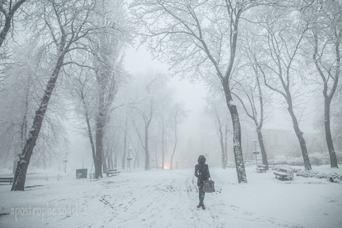 Киев занесло снегом
