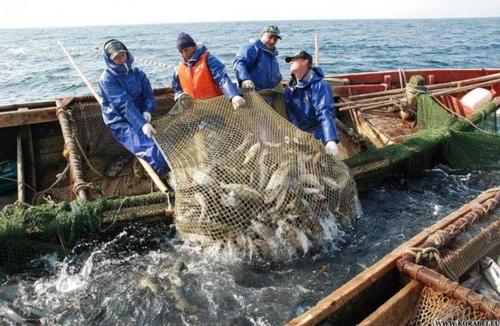 Хотите рыбки за 223 тыс. грн? - В Одессе разразился скандал вокруг чиновников-коррупционеров