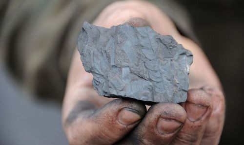 Украина покупает антрацит у людей Медведчука под видом угля из ЮАР 