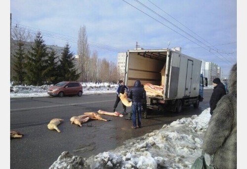 В Харькове по дороге разбросали свиные туши