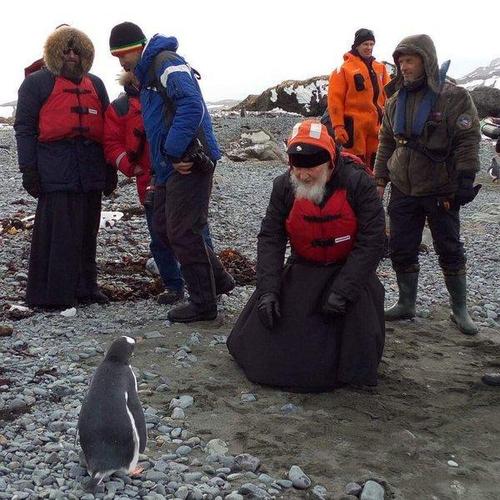 Патриарх Кирилл стал на колени перед пингвином
