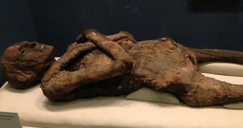 Сотрудник смитсоновского музея обвиняется в изнасиловании 2500 летней мумии 