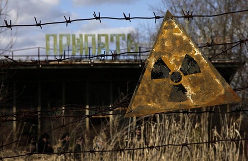 Чернобыль должен стать заповедником, -  Минэкологии