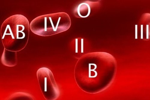 Как группа крови отражается на состоянии здоровья