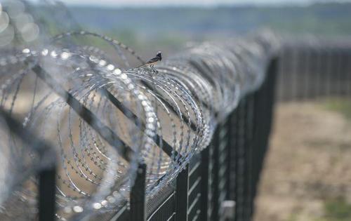 Латвия начала строить стену на границе с РФ