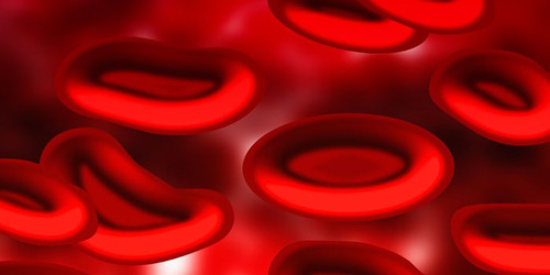 Тип крови - что мы должны знать