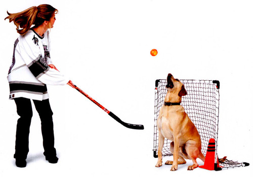 Собаки-хоккеисты(ВИДЕО)