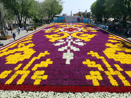 В Стамбуле высадили огромный ковёр из тюльпанов