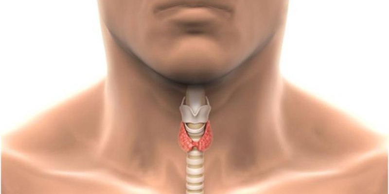 щитовиднаяжелезана шеи. оздоровление щитовидной. боль щитовидной железы. исхакова эльмира фаритовна эндокринолог. консультация эндокринолога.