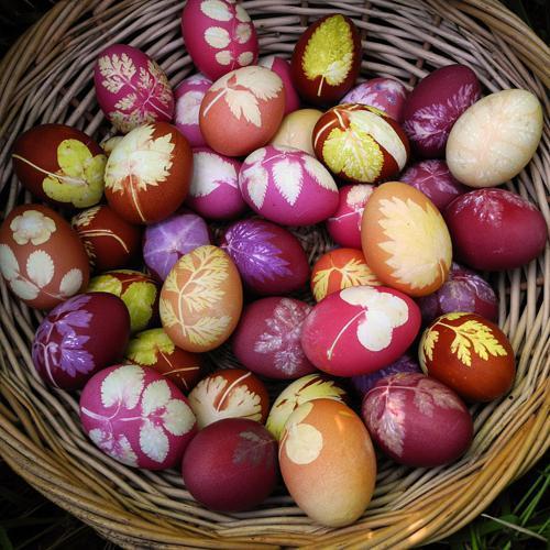 Мамины секреты "Крашенки: Рецепты окраски яиц натуральными красителями"
