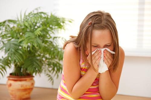 Какие комнатные растения могут вызвать аллергию