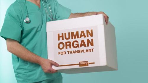 Рада разрешит изымать органы умерших на трансплантацию 