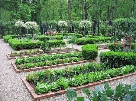 36 и 1 хитрый совет для садоводов и огородников