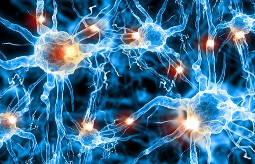 Нервные клетки восстанавливаются, но только при одном условии