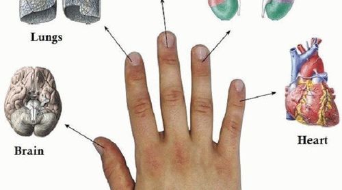 Каждый палец связан с двумя органами: японский метод лечения за 5 минут