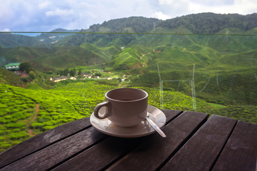 Определены самые «чайные» и «кофейные» страны