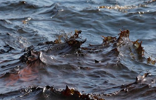 В Алупке в Черное море вылили восемь тонн мазута, - источник