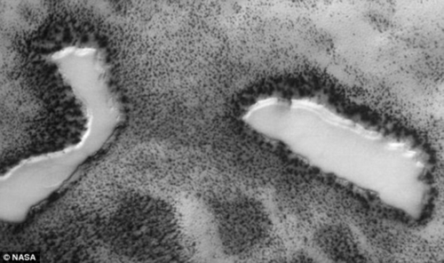 На Марсе обнаружили деревья и озера (ВИДЕО)