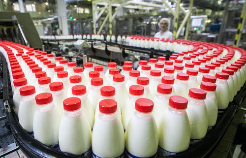 Молоко в России подделывают, подмешивая мел, борную кислоту и гипс