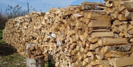  Крымчанам посоветовали запасаться дровами