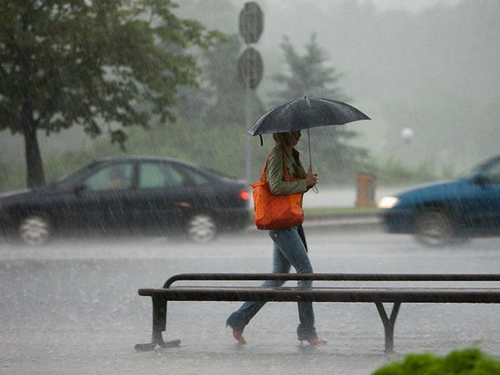 В Украине дождь и ветер обесточили почти 100 населенных пунктов