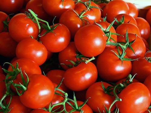 Проверенные составы для удобрения посадок томатов
