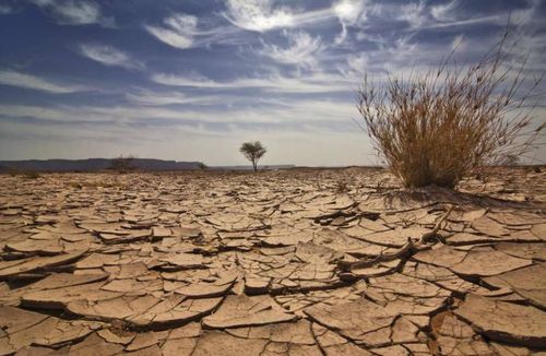 Изменение климата приведет к голоду на Земле