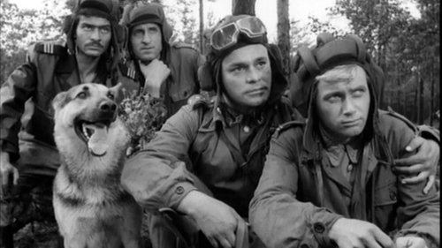 «Четыре танкиста и собака»: 50 лет