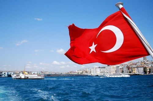 Турецким ученым запретили выезжать из страны 