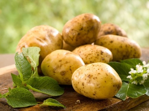 Нескучные блюда из картофеля