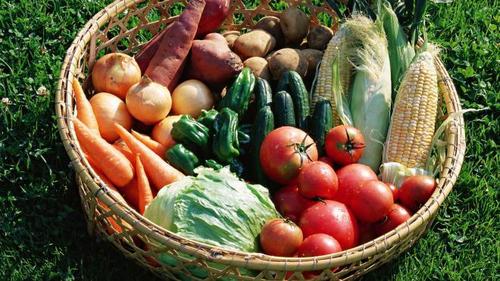 Сколько будут стоить украинские овощи летом и осенью