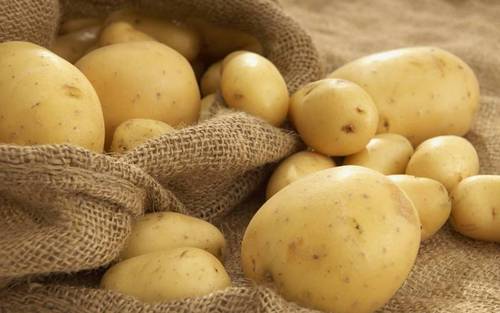 Как сохранить картофель в квартире