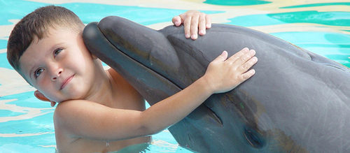 Дельфины-целители 