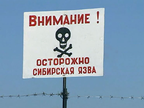 Эпидемия сибирской язвы в Ямало-Ненецком автономном округе России