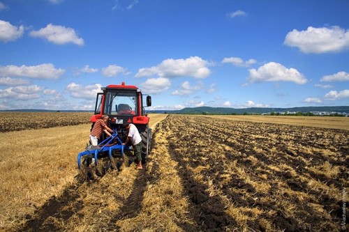 МВФ настаивает на создании рынка сельхозземель в Украине