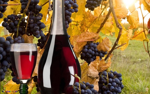 Натуральное вино из винограда по красному способу без добавления сахара