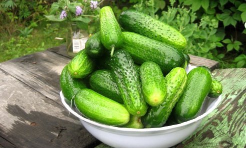 Какой летний овощ самый лучший для похудения и очищения?