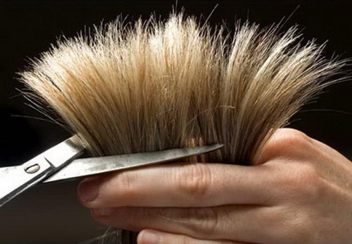Есть ли на самом деле польза от обрезания кончиков волос