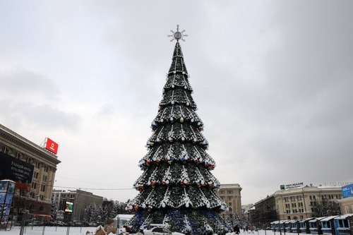 В Харькове установили самую высокую новогоднюю елку