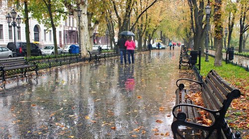 Погода в Украине 9 декабря: Дожди