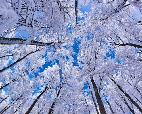 Погода в Украине 20 декабря