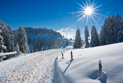 Погода в Украине 1 января: снега не будет