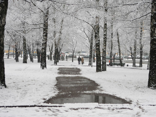 Погода в Украине 5 января: мокрый снег