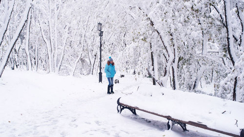 Погода в Украине 9 января: снег, местами сильный