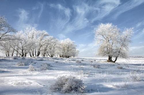 Погода в Украине 23 января: без осадков